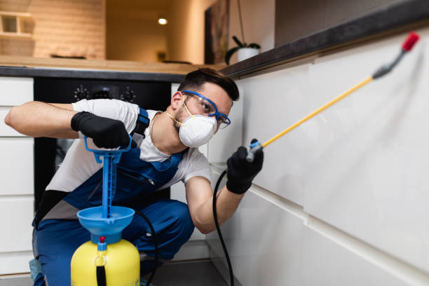 Best Mosquito Control Services  in Buffalo, TX