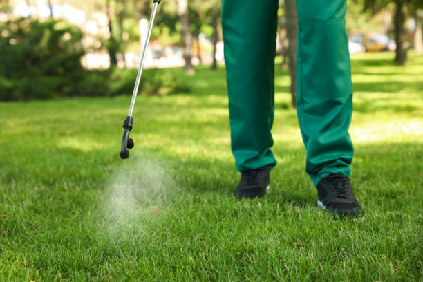 Best Wasp Removal Services  in Buffalo, TX