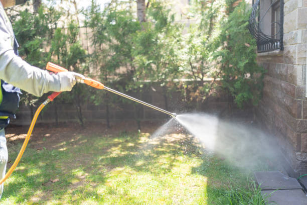 Best Spider Control Near Me  in Buffalo, TX