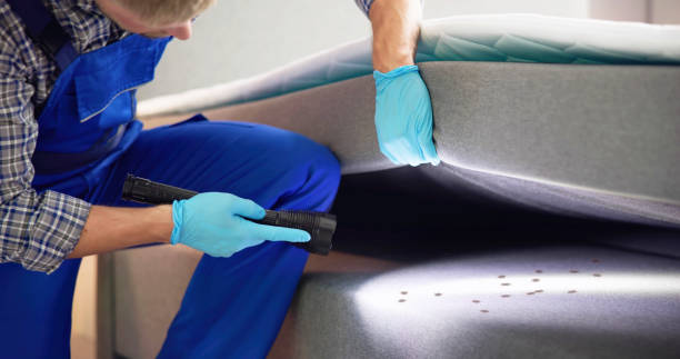 Best Exterminator Services  in Buffalo, TX