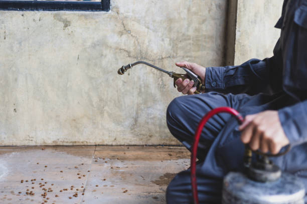 Best Mosquito Control Services  in Buffalo, TX